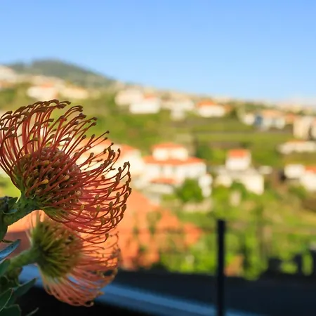 Vila Morning Sun * Calheta