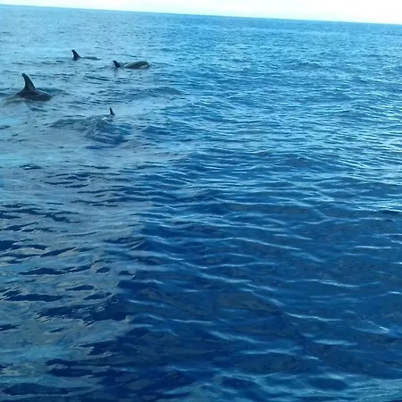 Vila Morning Sun * 칼례타