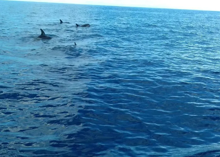 Vila Morning Sun * 칼례타